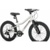 Maxiscoo 3bike 20 L 2025 MSC-M3-2003 - фото 2