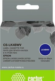 CACTUS CS-LK4BWV фото