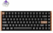 Keychron K2 HE Special Edition Black K2H-F1 фото