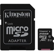 Kingston SDCS/256GB 256GB фото